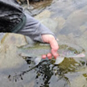 Meet your Posher, Kelli